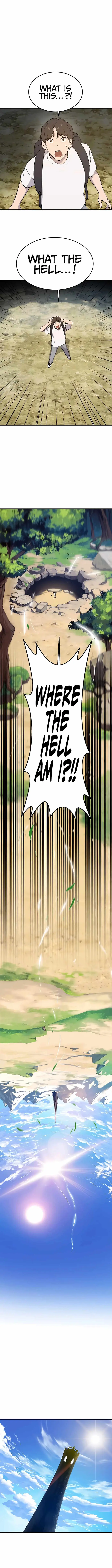 Solo Farming In The Tower - Chapter 1 image 18_optimized